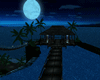 night island resort/pose
