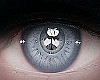 xRaw| Eyes Blue | M/F