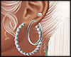 IS. Earrings