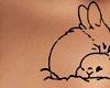 ❯❯ Rabbit