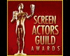 sceen actors guild award
