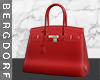 Birkin Bag Decor Red