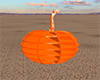 radial  Pumpkin  §§