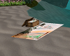beach towels