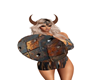 VIKING SIELD