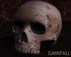 Skull No Jaw