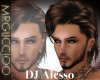 DJ Alesso highlight  bro