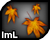 lmL Autumn FallingLeaves
