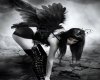 black angel (deriv.)