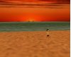 [DBD] Sunset Beach