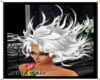 SLEEPING WIND SILVER