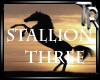 TR* Stallion 3