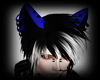 Blue/black Wolf Ears