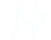 (D) DEE NVB BLK