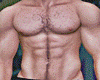 Sexy Abs