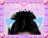 Purrfect | Cyan Ears