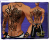 {Alex} tat tiger-chinese