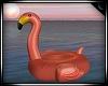 Flamingo Float 40% Kids