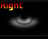 ~LD~ Right Light Eye