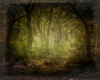 Hidden Away From Life