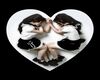 à§ heart 3,0