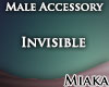 M~ Invisible Male