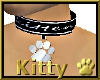 (k) kitten and silverpaw