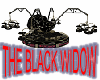 THE BLACK WIDOW