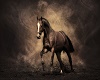 wild horse  2 sided pic