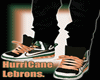 Lebron 9 Hurricanes