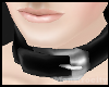 Buckled Collar - Black