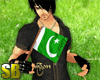 [SB]Pakistan Hand Flag M