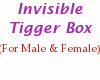 [G1]Invisible Tigger Box