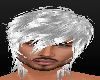 *Snow* Silver Krish