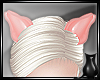[CS]  Pig Ears