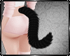 Kitty Tail Animated