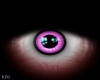 K; Callico Rat Eyes