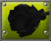 [C] Male Black Rose~