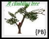 {PB}A ClimbingTree