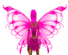 anim. pink fairy wings