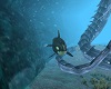 Orca Whale Ride