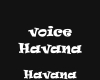 voices Havana perso