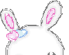 bunny love