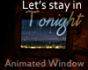LSIT Animated Window