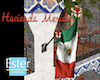 MEXICAN Flag banner
