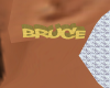 PT|Custom Bruce Earrings