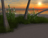 sunrise sky island
