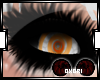 O| Kohrs Eyes M/F