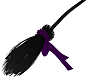 Sly Witch Broom