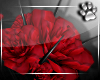Rose Crown -Red
